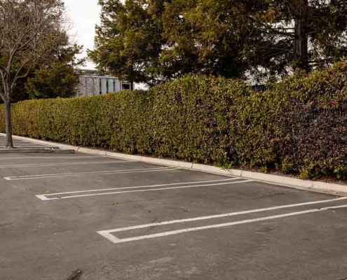 parking lot markings
